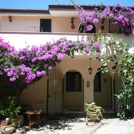 Villa Panthea Capo Vaticano Dış mekan fotoğraf
