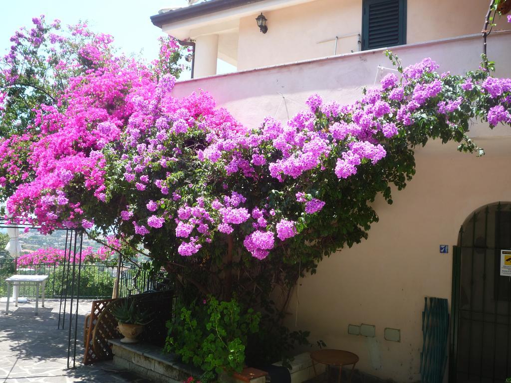 Villa Panthea Capo Vaticano Dış mekan fotoğraf